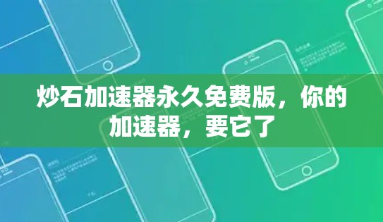 炒石加速器永久免费版，你的加速器，要它了