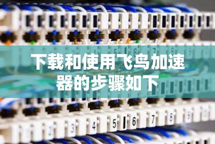 下载和使用飞鸟加速器的步骤如下