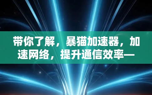 带你了解，暴猫加速器，加速网络，提升通信效率—推荐最新版本