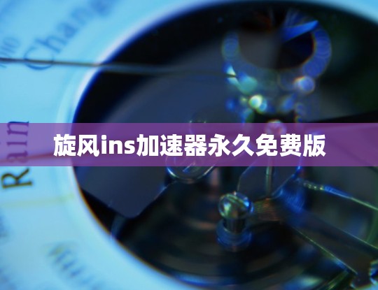 旋风ins加速器永久免费版