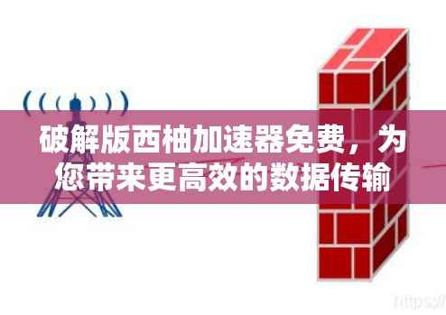 破解版西柚加速器免费，为您带来更高效的数据传输体验