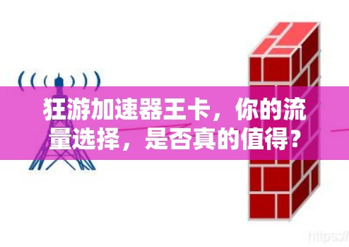 狂游加速器王卡，你的流量选择，是否真的值得？