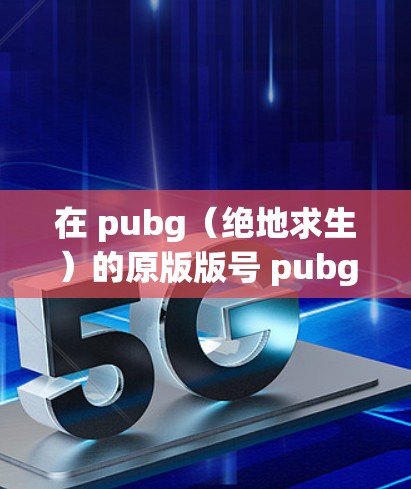 在 pubg（绝地求生）的原版版号 pubg Lite 中，有一个免费的加速器，可以在游戏中永久使用，无需登录。以下是该加速器的详细信息