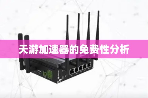 天游加速器的免费性分析