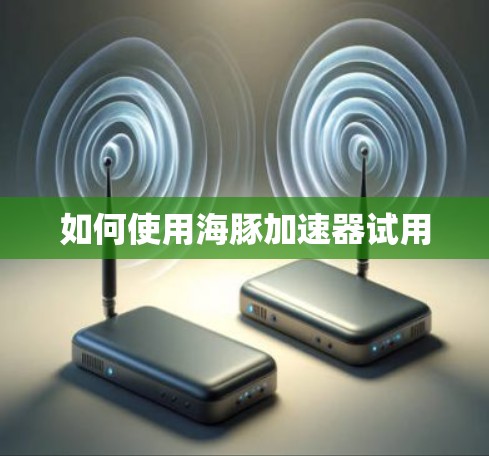 如何使用海豚加速器试用