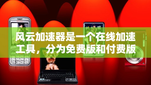 风云加速器是一个在线加速工具，分为免费版和付费版两种。免费版的使用时间是5分钟，之后需要付费使用。以下是关于免费版的详细信息