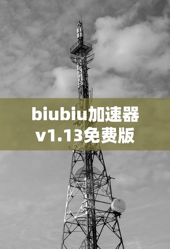 biubiu加速器v1.13免费版