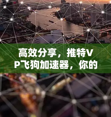 高效分享，推特VP飞狗加速器，你的终极解决方案