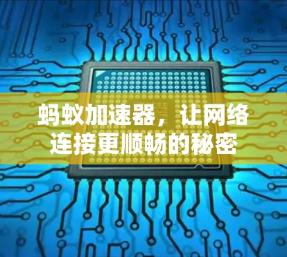蚂蚁加速器，让网络连接更顺畅的秘密