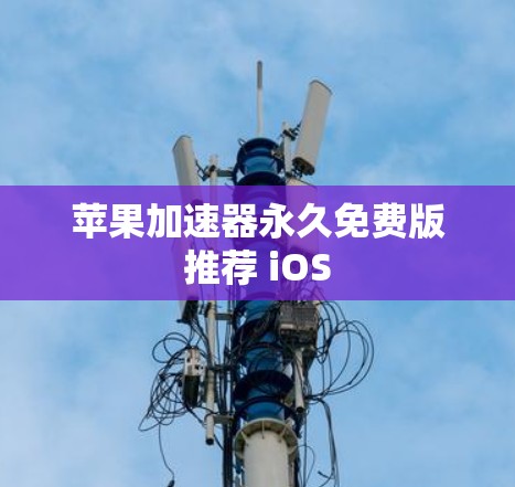 苹果加速器永久免费版推荐 iOS