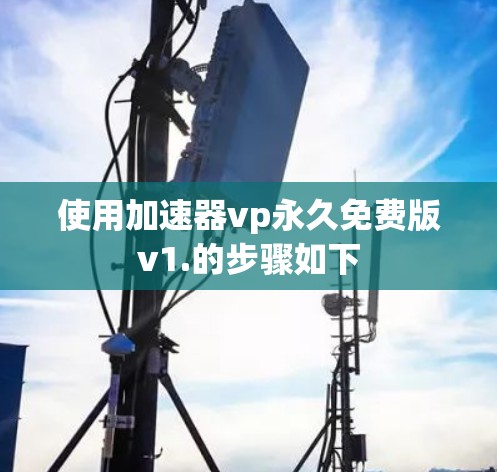 使用加速器vp永久免费版v1.的步骤如下