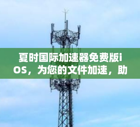夏时国际加速器免费版iOS，为您的文件加速，助力轻松下载！