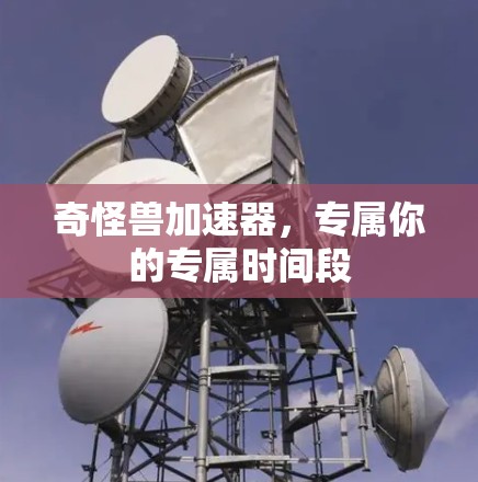 奇怪兽加速器，专属你的专属时间段