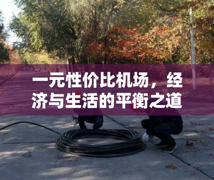 一元性价比机场，经济与生活的平衡之道