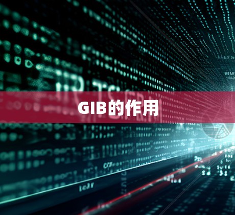 GIB的作用