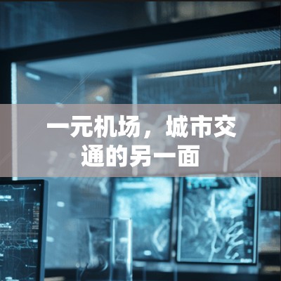 一元机场，城市交通的另一面