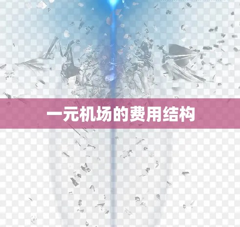 一元机场的费用结构