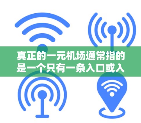 真正的一元机场通常指的是一个只有一条入口或入口设计非常高效的机场。这样的机场在设计上可能非常开放，方便游客的进入体验。以下是一些可能的例子