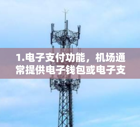 1.电子支付功能，机场通常提供电子钱包或电子支付功能，这些功能可能需要下载一定的软件或应用，但价格可能较低