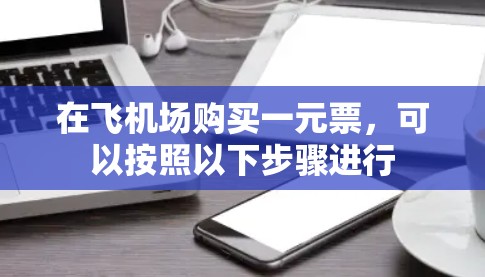 在飞机场购买一元票，可以按照以下步骤进行