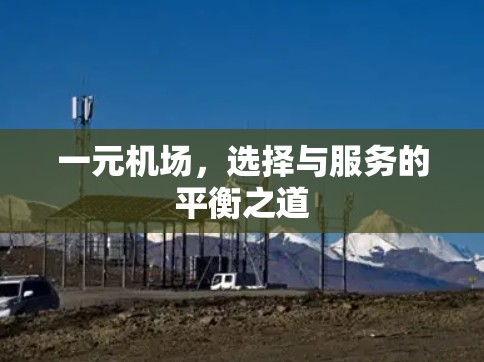 一元机场，选择与服务的平衡之道