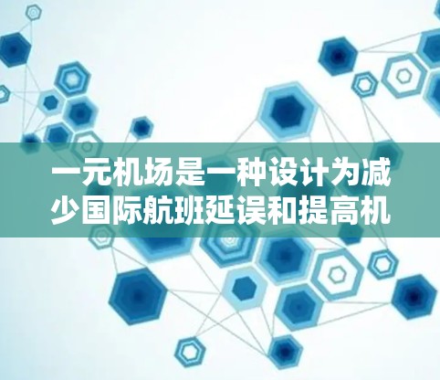 一元机场是一种设计为减少国际航班延误和提高机场效率的特殊机场，其主要特点包括