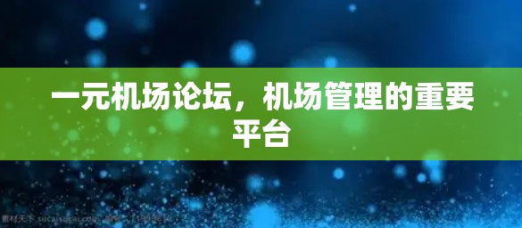 一元机场论坛,机场管理的重要平台 一元机场论坛,机场管理的重要平台