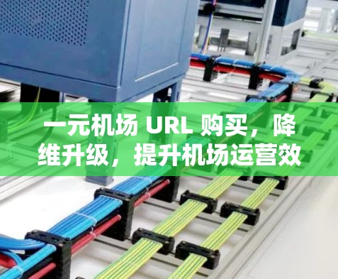 一元机场 URL 购买，降维升级，提升机场运营效率