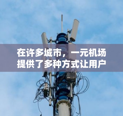 在许多城市，一元机场提供了多种方式让用户方便地到达机场，包括在线支付、地铁或公交系统中的支付方式。以下是这些城市和地区的具体信息