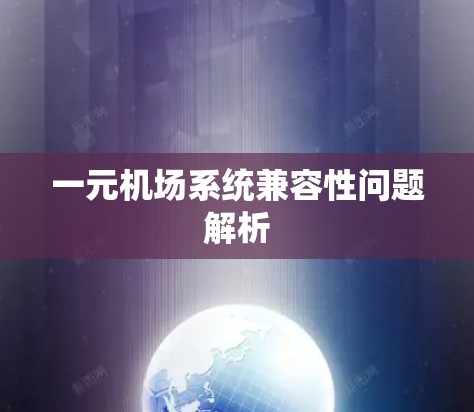 一元机场系统兼容性问题解析