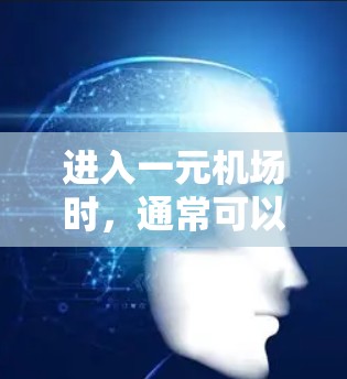 进入一元机场时，通常可以通过排队室或特定入口进入，不需要使用网站。以下是一些常见的方法