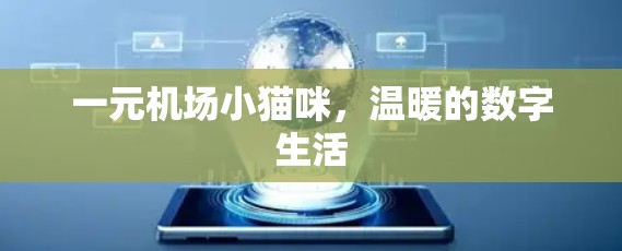 一元机场小猫咪，温暖的数字生活