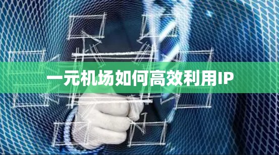 一元机场如何高效利用IP