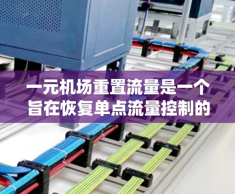 一元机场重置流量是一个旨在恢复单点流量控制的机场系统流程。以下是一步步的指南，帮助您完成这个过程