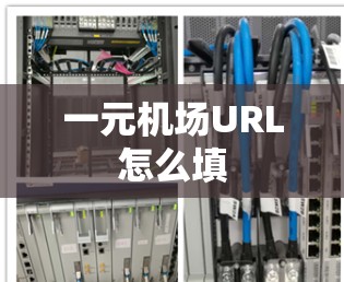 一元机场URL怎么填