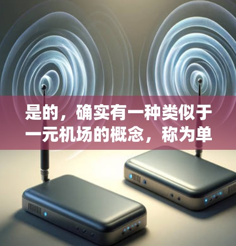 是的，确实有一种类似于一元机场的概念，称为单跑道机场或者单 runway机场。这种设计模式旨在通过减少机场的复杂性和资源消耗，从而提高机场的效率和 passenger flow