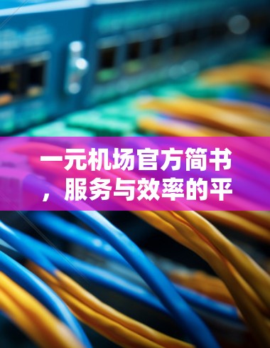 一元机场官方简书，服务与效率的平衡