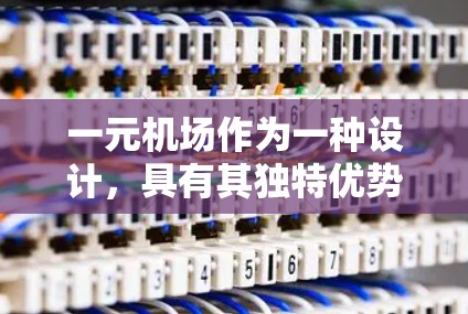 一元机场作为一种设计，具有其独特优势和潜在挑战。以下是对一元机场可行性分析的总结