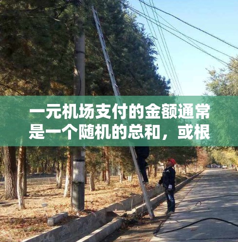 一元机场支付的金额通常是一个随机的总和，或根据进入的时间段和人数来计算。具体费用可能包括