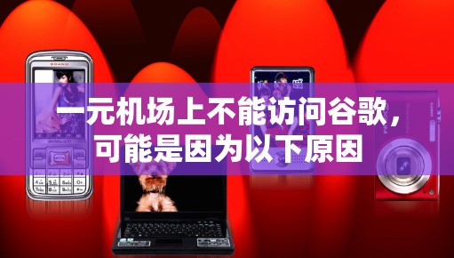 一元机场上不能访问谷歌，可能是因为以下原因
