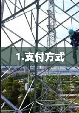 1.支付方式