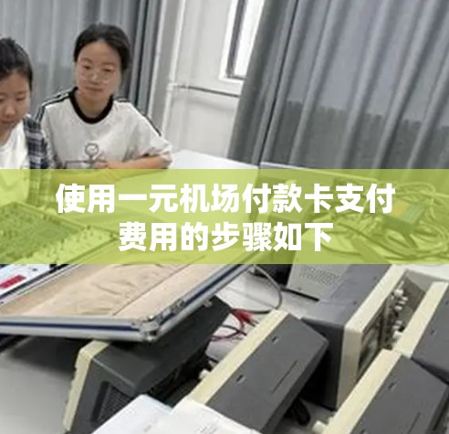 使用一元机场付款卡支付费用的步骤如下