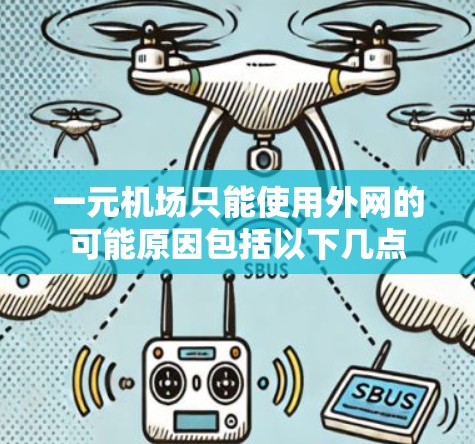 一元机场只能使用外网的可能原因包括以下几点