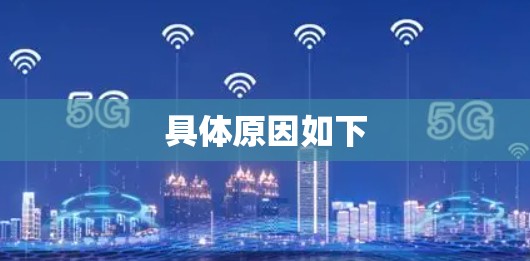 具体原因如下