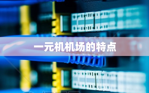 一元机机场的特点