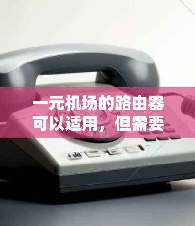 一元机场的路由器可以适用，但需要考虑其设计和维护的因素