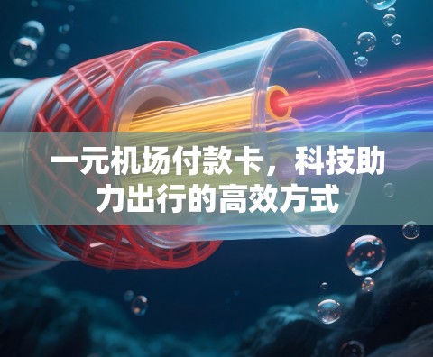 一元机场付款卡，科技助力出行的高效方式