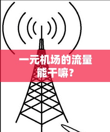 一元机场的流量能干嘛？