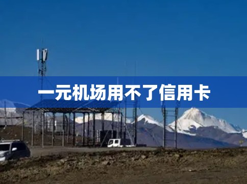 一元机场用不了信用卡