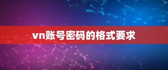 vn账号密码的格式要求